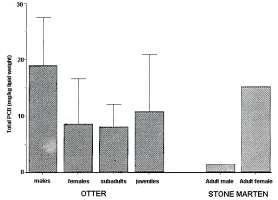 Graph comparing PCB levels, howim highest levels in male ottersand female stone martens