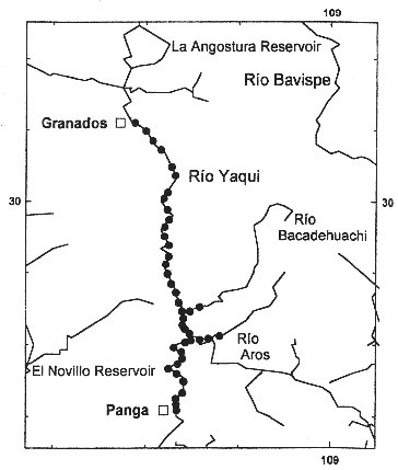 Map showing fairly dense otter sightings the whole length of the surveyed Rio Yaqui, with otters also found up Rio Becadehuachi and Ri Aros tributaries.  Click for larger version.