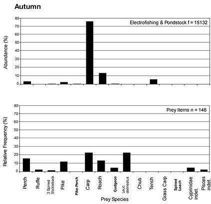 Graphs showing the abundance of different prey items in the environment in Autumn, and the frequency with which they are found in spraint.  Carp is most abundant in the habitat, but Perch, Pike, Roach and Leuc. delineatus are equally common in spraint.  Click for larger version.