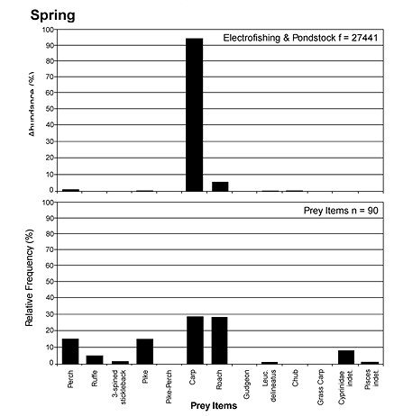 Graphs showing the abundance of different prey items in the environment in Spring, and the frequency with which they are found in spraint.  Carp is most abundant in the habitat, but Roach, Perch and Pike are equally common in spraint.  Click for larger version.