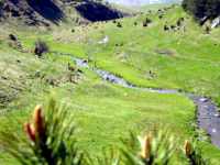 Mountain stream through rock-strewn grassy areas below scree lined mountain slopes