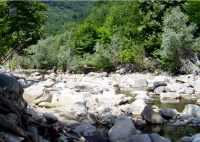 Wide rocky river bed, with narrow channel of water, banks denseky populated with willows