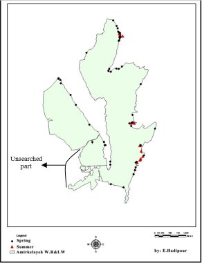 Map of wetland showing where otter sign was found in spring and sunner - mainly along the western side of the water body, and along the eastern edge especially in the south east.  Click for larger version