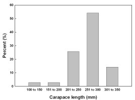 Graph of turtle shell sizes showing most of the turtles eaten were 25 - 30 cm long