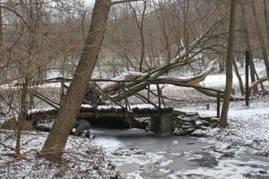Small rustic bridge build of timber over a brook with low banks.  Click for larger version