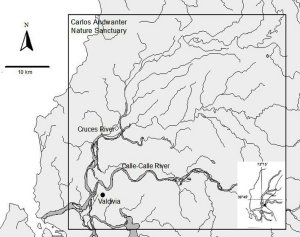 Map showing the locaton of the nature sanctuary and the two rivers, which converge near Valdivia; inset shows position in relation to whole country. Click for larger version