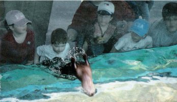  Agroup of children laughing and smiling at an otter diving into the water.  Click for larger image.