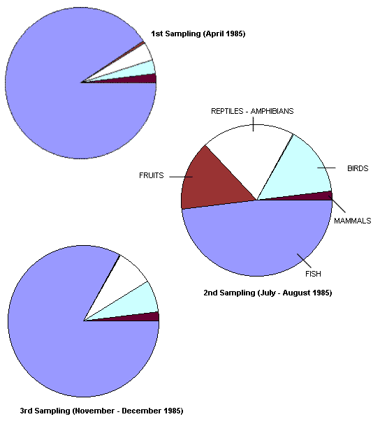 Pie charts showing amount of fish, fruit, reptiles and amphibians, birds and mammals eaten in spring, summer and autumn