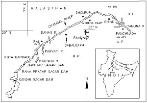 Small inset map of India showing the study area is in the northern central part of the country, with a more detailed map of the Chambal River shoing dams and barrages, tributaries and towns, and the exact location of the study area between Sabalgarh and Morena Camp. The river forms the boundary between Rajasthan in the north and Madhya Pradesh in the south, where the study area is. Click for larger version. 
