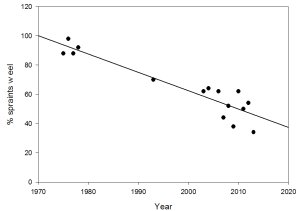 Graph showing percentage of spraints containing eel remains against year, with a steep, approximately linear decline from 100% in 1970 to about 50% in 2010, and projected to 40% by 2020.  Click for larger version. 