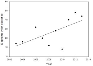 Graph showing that in 2003, fewer than 20% of spraint contained fish other than eel, whereas by 2013, more than 40% of spraint contained other fish.  Click for larger version. 