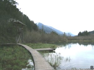 Swamp-edged lake with wooden walkway crossing it. Lake surrounded by woods, with mountains in the distance.  Click for larger version.