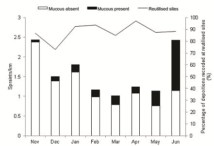 Block graph shwing that depositions in JUne had far more mucus deposited than in November (approximately the same number of spraints).  Fewest spraints deposited Feb-May, with variable amounts of mucus.Click for larger version. 