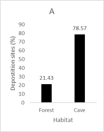 Graph 3A plotting number of spraint sites against Forest or Cave; Three times as many sprainting sites were in caves compared to forest.