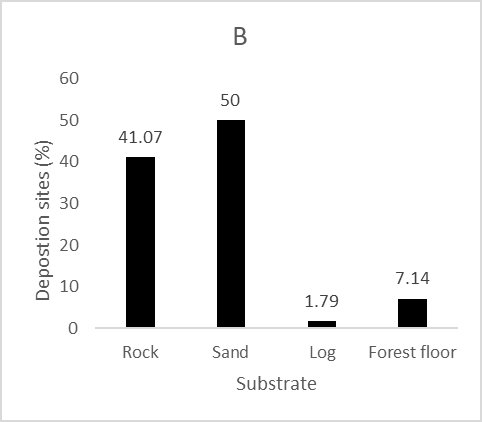 Graph 3B plotting number of spraint sites against Substrate.  Very few were found on logs, a few more directly on the forest floor, but most were on either rocks or sand, with slightly more being on sand.