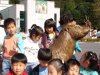 Children love otters!