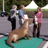 Big Otter - Small Otter