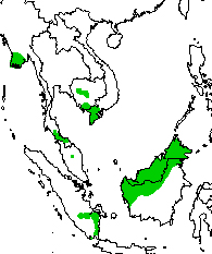 Map of south east Asia showing species found in one locality each in Cambodia, Thailand and Sumatra, and the extreme south of Viet Nam