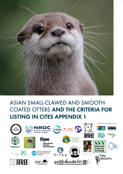 Asian Small-clawed and Smooth-coated Otters and the criteria for listing in cities appendix 1