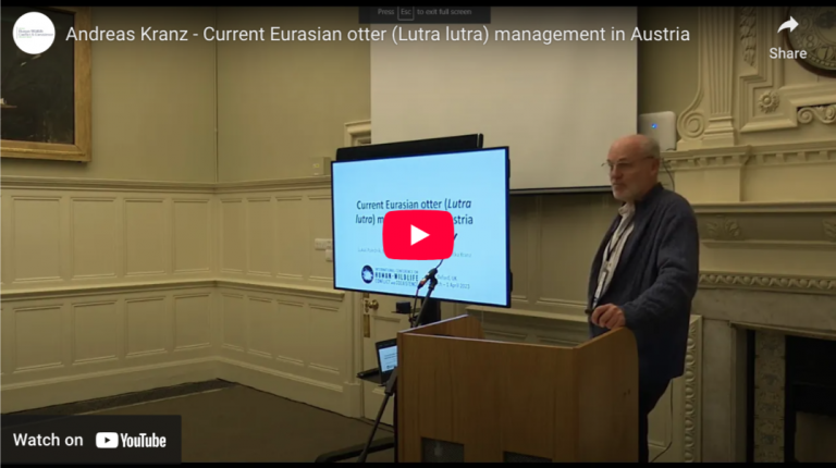 Current Eurasian otter (Lutra lutra) management in Austria