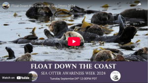 Float Down the Coast with Sea Otters 2024