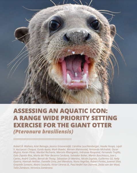 Assessing an aquatic icon: a range wide priority setting exercise for the Giant Otter (Pteronura brasiliensis)