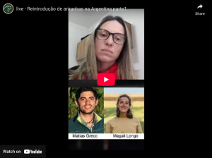 Reintroducing Otters in Argentina