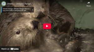 Sea Otters v. Climate Change