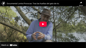 Documental Lontra Provocax: Tras las huellas del gato de río