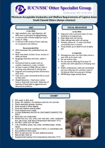 Minimum Acceptable Husbandry and Welfare Requirements of Captive Asian Small-Clawed Otters (Aonyx cinereus)