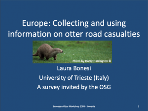Europe: Collecting and using information on otter road casualties