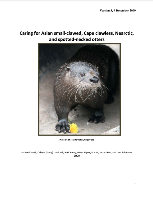 Caring for Asian small-clawed, Cape clawless, Nearctic, and spotted-necked otters