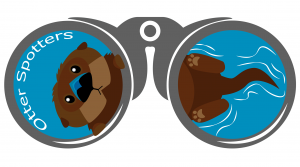 Florida Otter Spotters