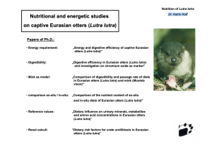 Nutritional and Energetic Studies on Captive Eurasian Otters