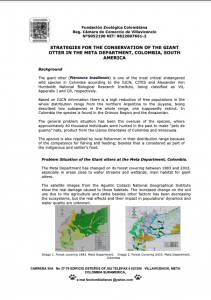 Strategies for the Conservation of Giant Otter in the Meta Department, Colombia, South America