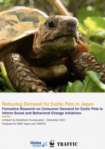 TRAFFIC Report – Reducing Demand for Exotic Pets in Japan – 2021