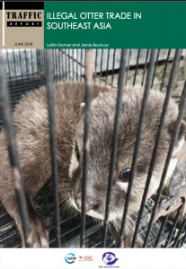 TRAFFIC Report – Illegal Otter Trade in Southeast Asia 2018