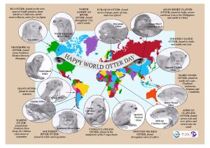 World Otter Day